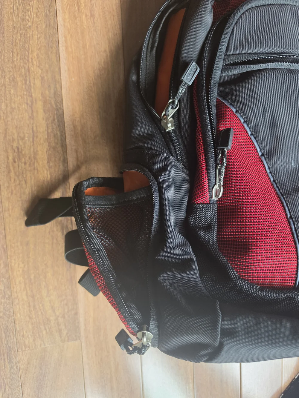 Black and Red Everyday Padded Laptop Travel Backpack